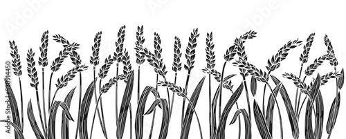 Wheat ear engraved or stamp border background. Cereals ripe spike frame horizontal pattern. Agricultural silhouette press, flour production. Design template farm stencil, organic bread, beer engraving