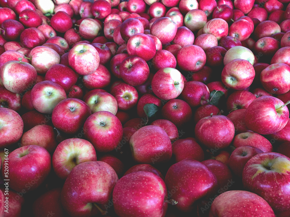 Pile of Red Gala apples background