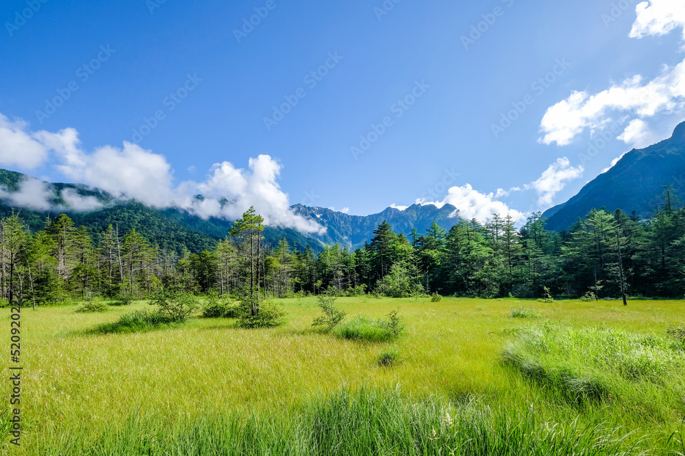 長野県松本市上高地の田代湿原と穂高連峰 長野県松本市上高地の田代湿原と穂高連峰