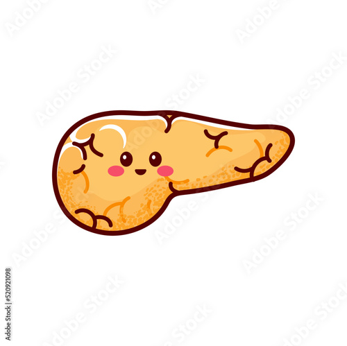 Large gland in stomach yellow pancreases, human internal organ, inner body part. Vector healthy pancreas icon, cute cartoon character emoticon photo