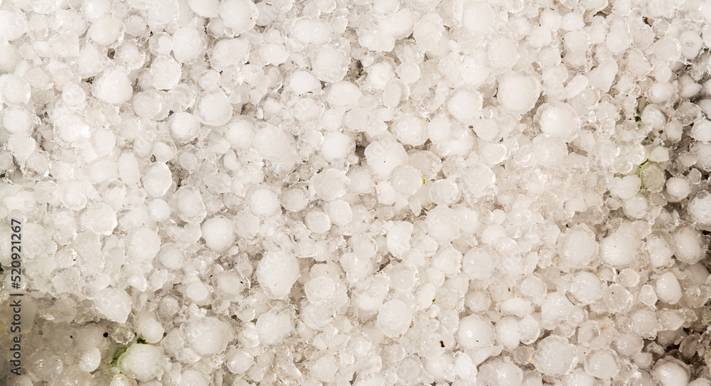 Large balls of freshly fallen hail Large balls of freshly fallen hail