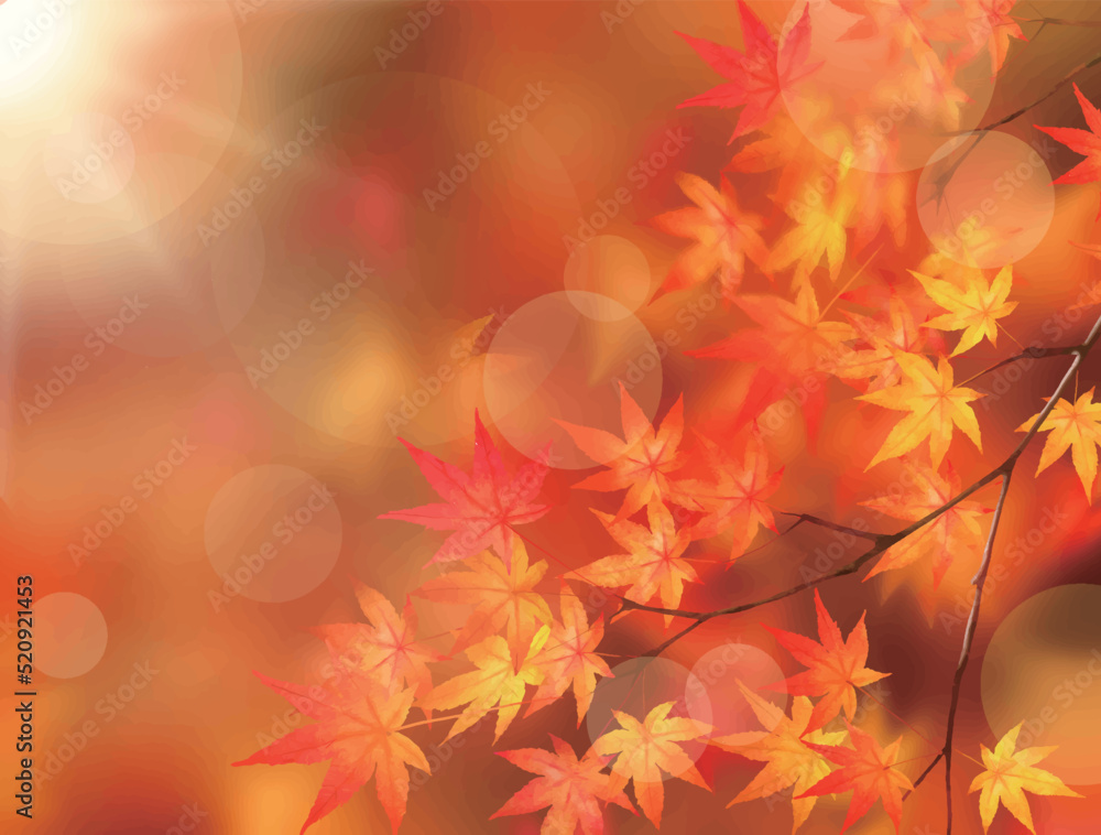 キラキラ輝く美しい紅葉の葉のオシャレなベクターの光の差し込むピンボケの背景素材フレーム