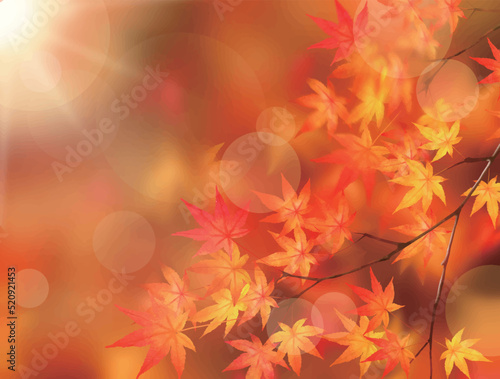 キラキラ輝く美しい紅葉の葉のオシャレなベクターの光の差し込むピンボケの背景素材フレーム
