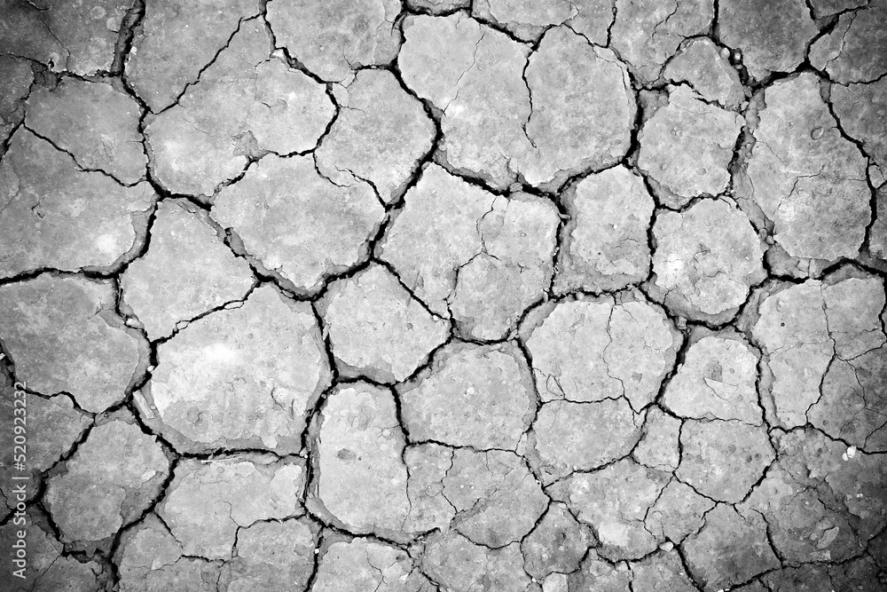 Dry farm land with cracked texture for earth background Dry farm land with cracked texture for earth background