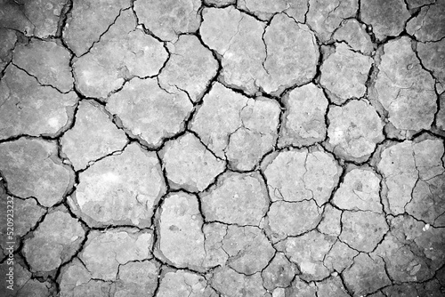 Dry farm land with cracked texture for earth background