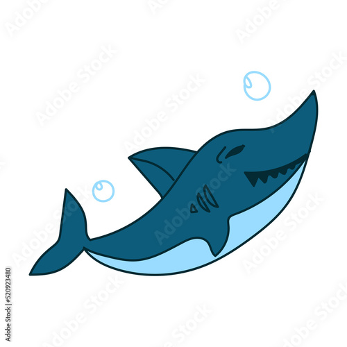 shark hand drawn vector illustration design element