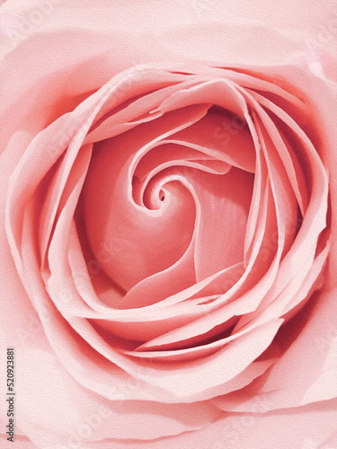 Painted pink rose close up