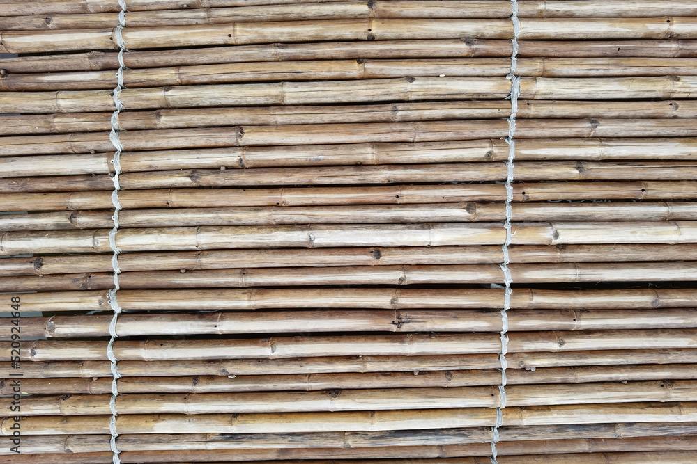 close up of bamboo texture for background close up of bamboo texture for background