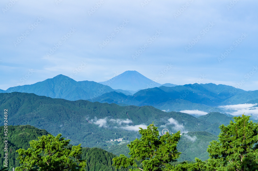 Fototapeta premium 東京都八王子市の高尾山登山