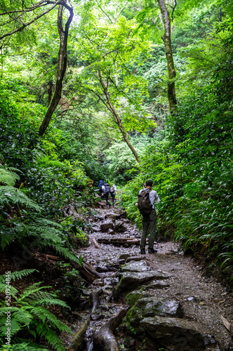 東京都八王子市の高尾山登山