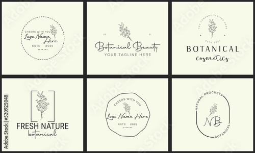 Botanical Floral Logo design element Hand Drawn flower and leave vector template