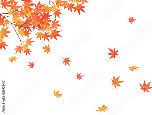 赤く紅葉した美しい紅葉の葉のオシャレなベクターの白バック秋背景素材フレーム
