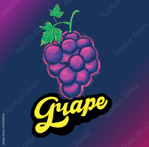 friut vector illustration