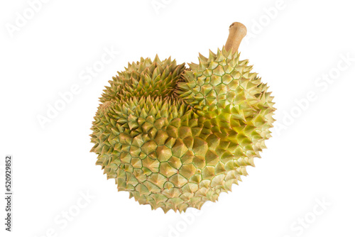 Durian. Asian fruit. Seasonal fruit in Summer. King of fruit. Smelly and high calorie.
