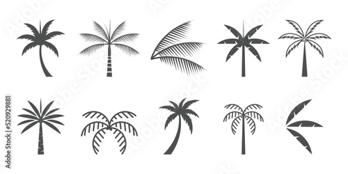 Set of palm logo icon vector with creative element