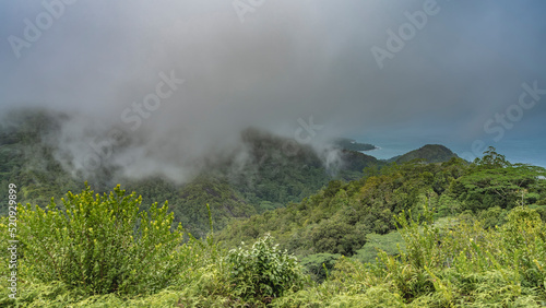 Dense fog hides the peaks of the mountains. Lush green vegetation on the slopes. The turquoise Indian Ocean is visible in the distance. Observation deck. Seychelles