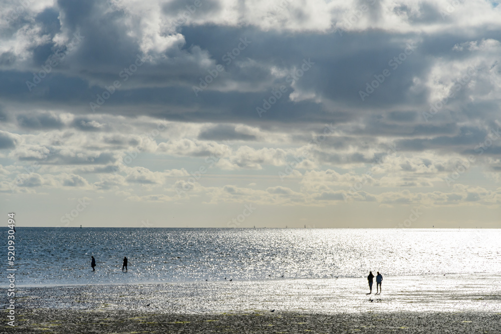 evening light at the northern sea wattenmeer near büsum, germany, 
