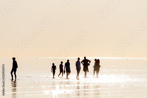 silhouette of people walking in the sea wattenmeer near büsum, germany