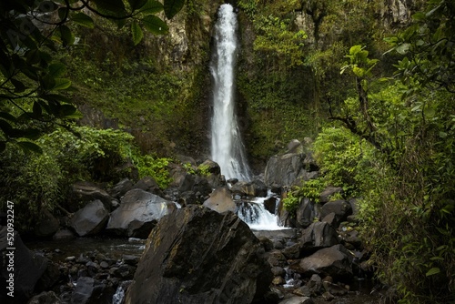 waterfall in the forest