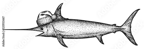 Sticker Vintage engrave isolated christmas saw fish set illustration santa costume killer whale ink sketch