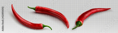 Chili pepper realistic 3d image on transparent background. Vector png illustration of red hot cayenne. Organic vegetable farming. Natural spicy paprika seasoning. Mexican cuisine ingredient