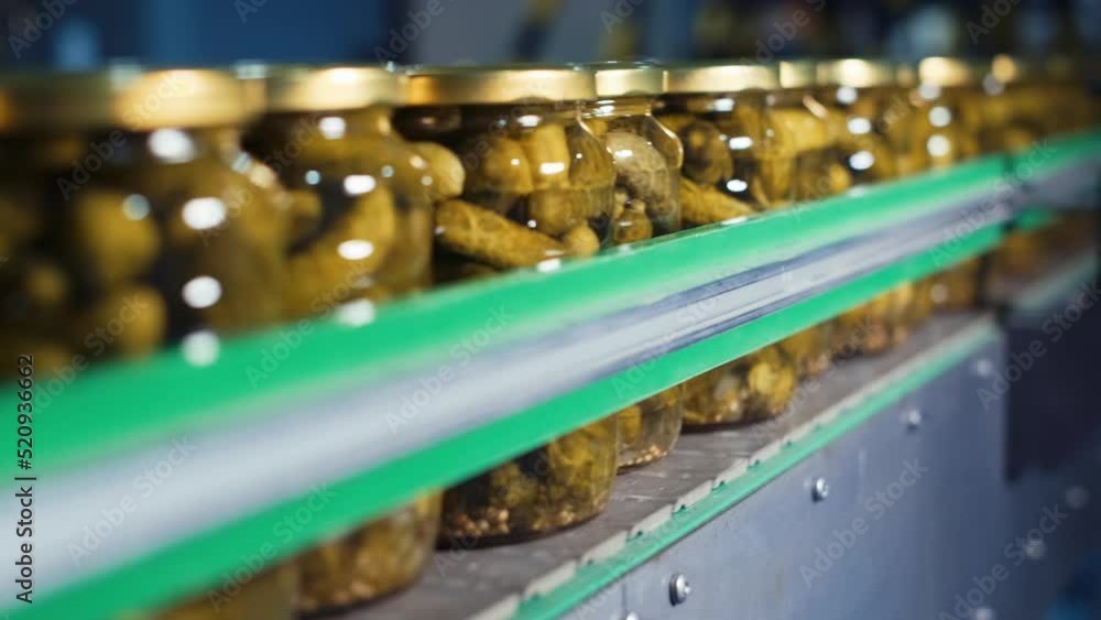 Preservation of vegetables. An industrial line for processing and preserving cucumbers. Fresh cucumbers are washed, picked and preserved in glass jars for long-term storage. 4K. 3 Preservation of vegetables. An industrial line for processing and preserving cucumbers. Fresh cucumbers are washed, picked and preserved in glass jars for long-term storage. 4K. 3