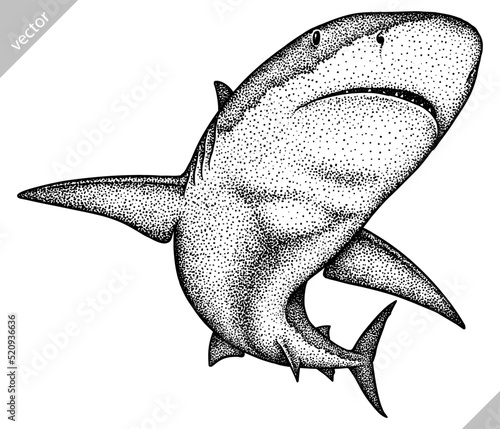 Vintage engrave isolated saw fish illustration killer whale ink sketch. Wild hammer shark background line dolphin vector art