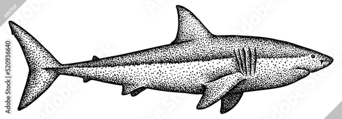 Vintage engrave isolated saw fish illustration killer whale ink sketch. Wild hammer shark background line dolphin vector art