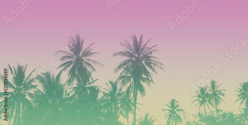 Summer of a colorful theme with palm trees background as texture frame image background