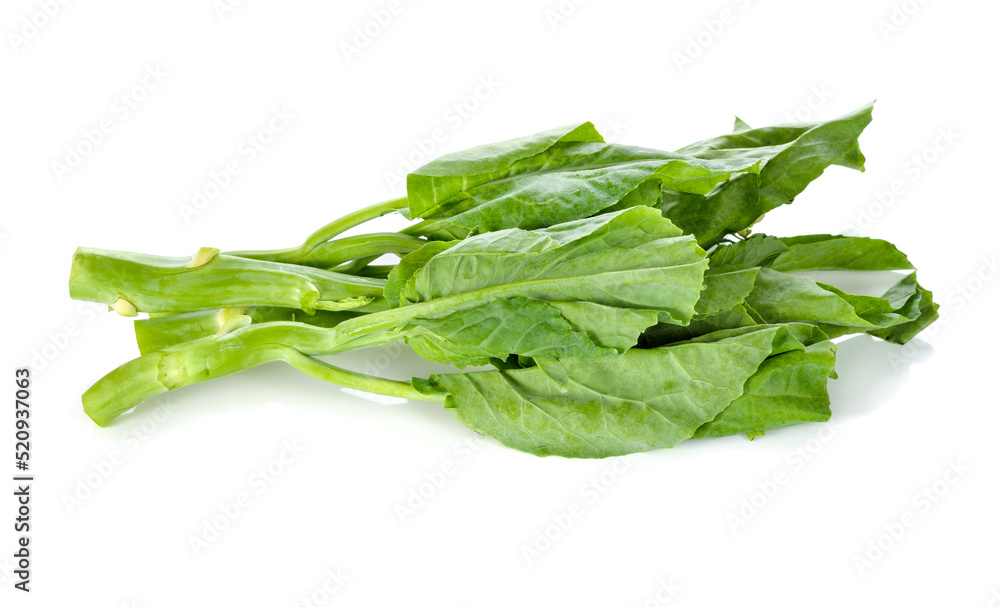 Green kale isolated on a white background Green kale isolated on a white background