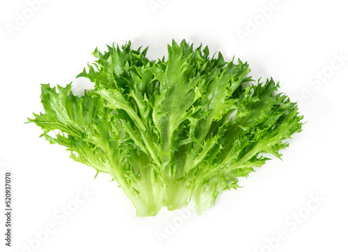 fresh lettuce isolated on white background