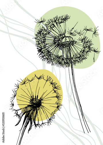 Fototapeta Naklejka Na Ścianę i Meble -  Dandelion Abstract Hand Painted Illustrations for Wall Decoration, Postcard, Social Media Banner, Brochure Cover Design Background. Modern Abstract Painting Artwork. Vector Pattern