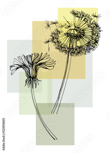 Dandelion Abstract Hand Painted Illustrations for Wall Decoration, Postcard, Social Media Banner, Brochure Cover Design Background. Modern Abstract Painting Artwork. Vector Pattern