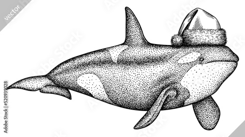Vintage engrave isolated christmas saw fish set illustration santa costume killer whale ink sketch. Wild new year hat hammer shark background line dolphin vector art