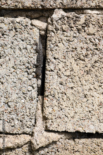 Kotschy's Gecko // Ägäischer Nacktfinger (Mediodactylus kotschyi) - Peloponnese, Greece photo