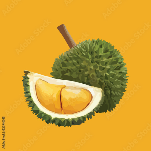 Thai Durian