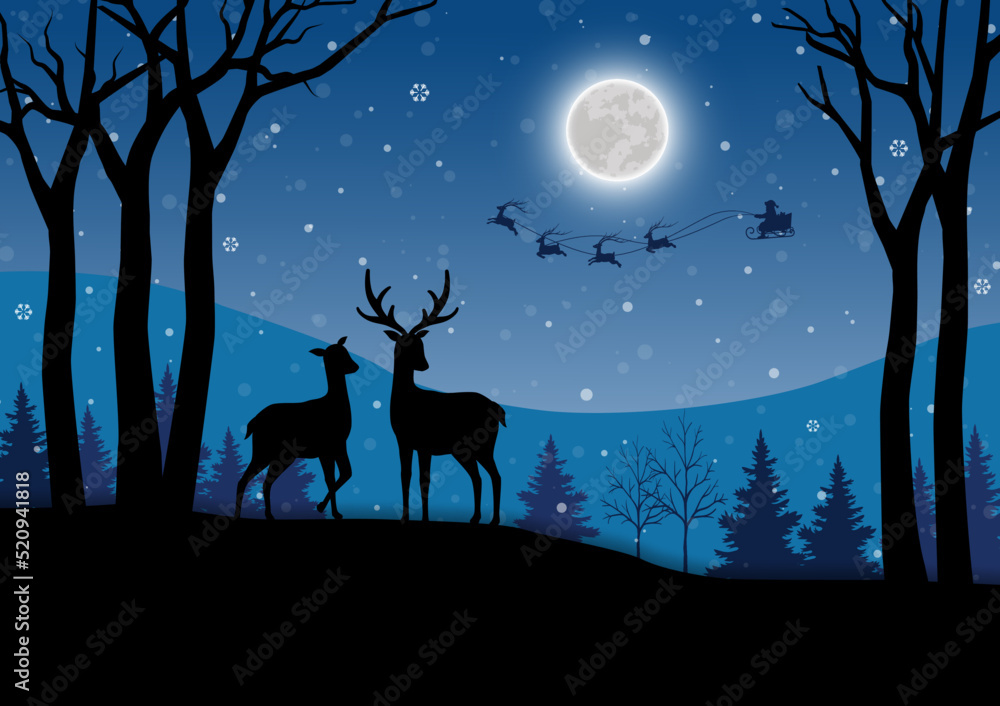 Merry Christmas and happy new year greeting card with deer family on winter night landscape Merry Christmas and happy new year greeting card with deer family on winter night landscape