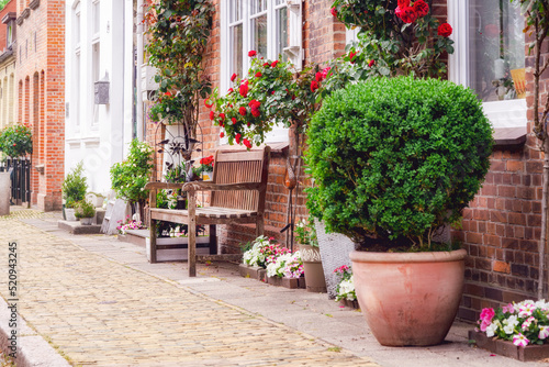 Fototapeta Naklejka Na Ścianę i Meble -  Traditional street with flowers and bench in Friedrichstadt, Germany