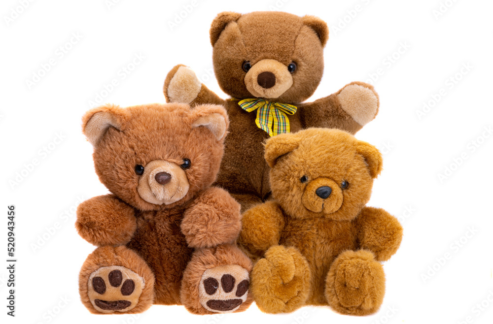 Fototapeta premium soft toy bear isolated