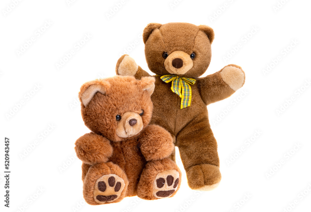 Obraz premium soft toy bear isolated