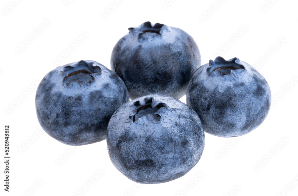 Obraz premium Blueberry isolated