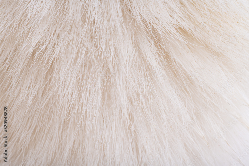dog fur texture close-up macro dog fur texture close-up macro