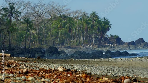 static shoot of a incredible beach with jungle in Pavones Costa Rica during a hot summer sunny day with hot waves great colors with sand, rocks the sea with unique blue colors  photo