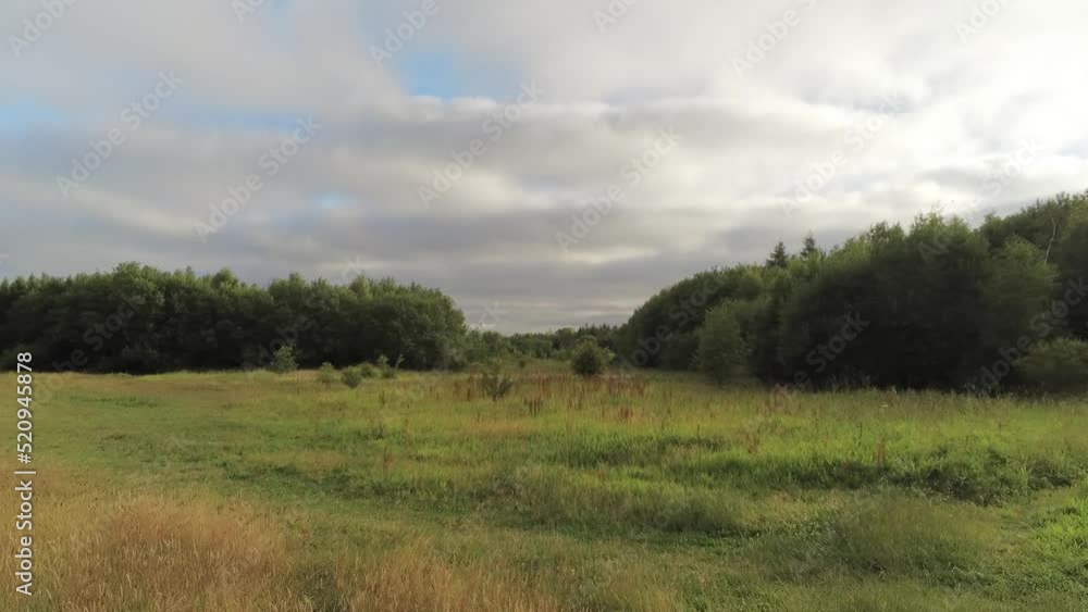 Aerial view flying slowly across lush green heather grassland meadow wilderness passing forest woodland trees Aerial view flying slowly across lush green heather grassland meadow wilderness passing forest woodland trees