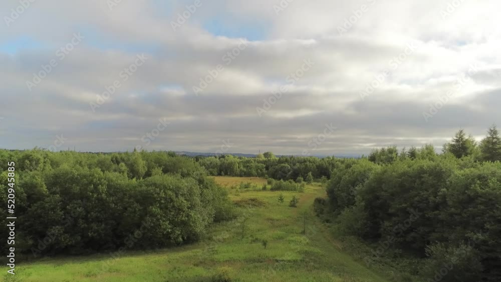 Aerial view flying away from lush green forest woodland open space park trees panning right Aerial view flying away from lush green forest woodland open space park trees panning right