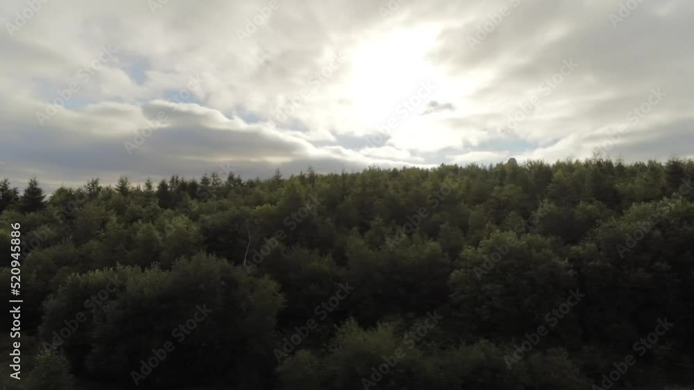 Aerial view panning across open space dense woodland park trees early morning under cloudy blue sky