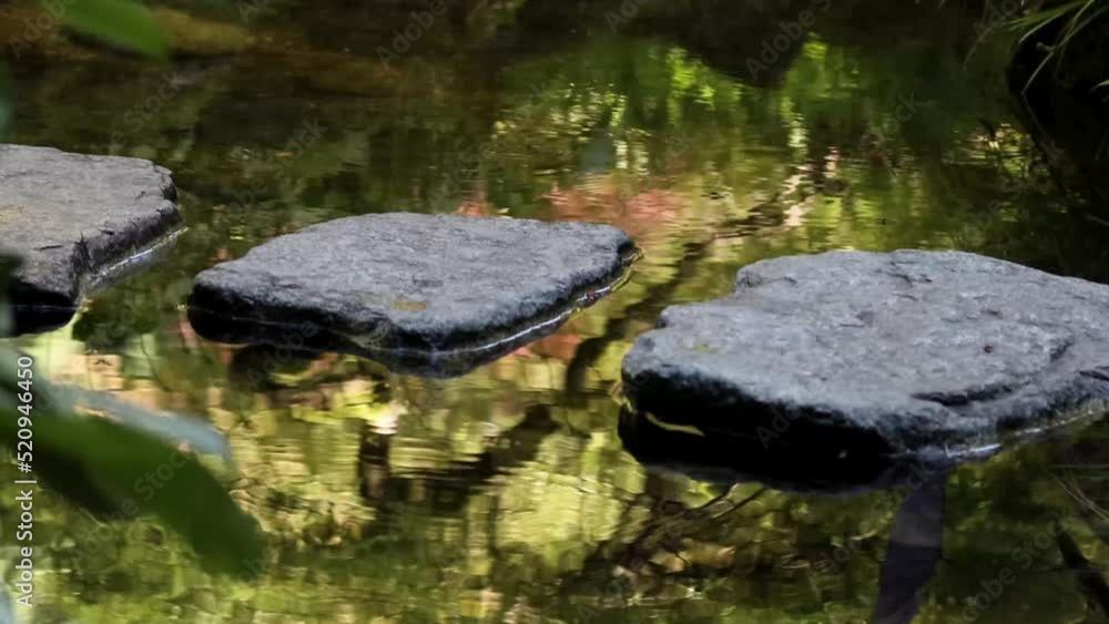 Two friends cross over stepping stones on a reflective pool. Two friends cross over stepping stones on a reflective pool.