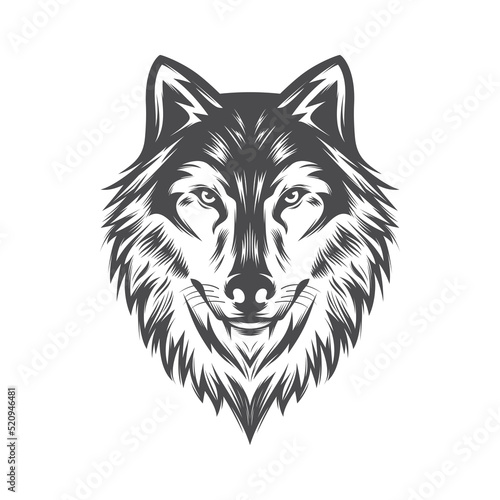 Wolf head Vector illustration. Wolf Vintage Logo Stock Vector.