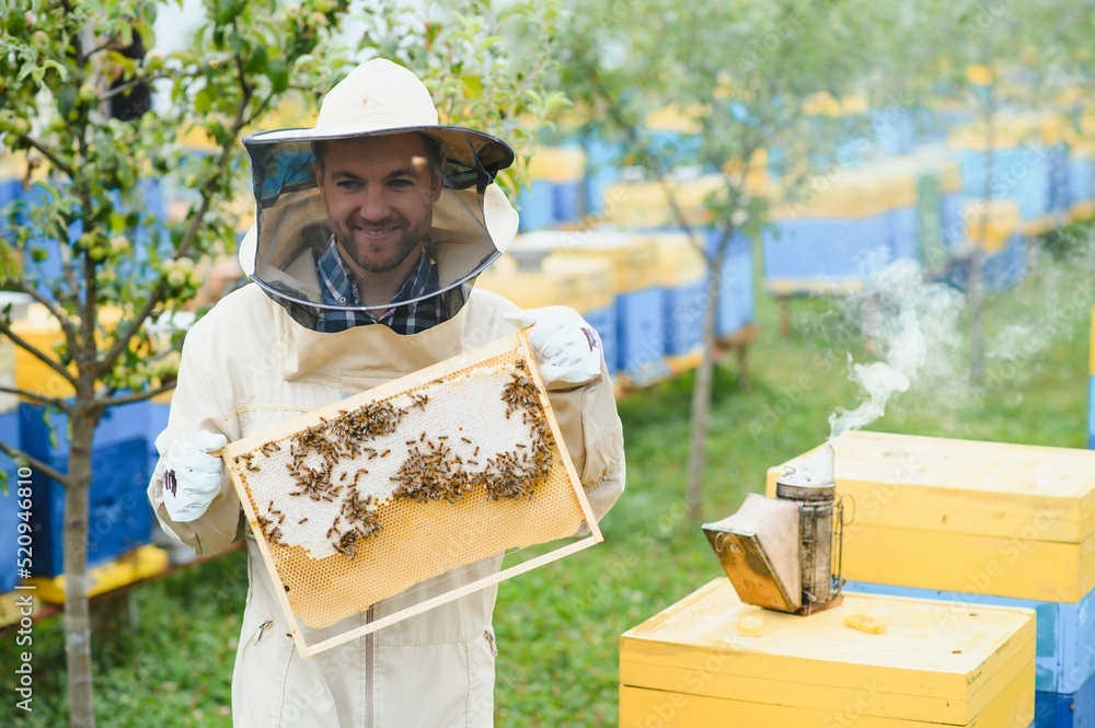 Beekeeper working collect honey. Beekeeping concept. Beekeeper working collect honey. Beekeeping concept.