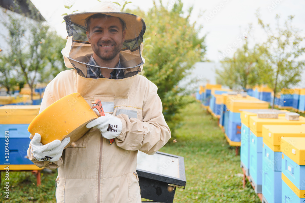 Bee keeper in a uniform standing in apiary and holding a wax